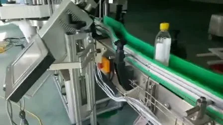 Stampante laser per macchina per marcatura laser CO2 Leadjet per bottiglie di plastica